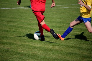 世界台球联赛中国队勇夺团体亚军，世界台球联赛中国队勇夺团体亚军是谁